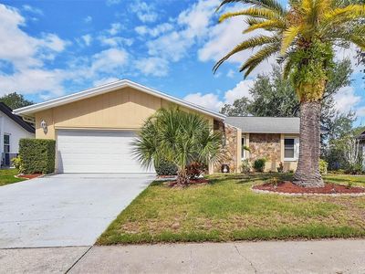 Property at 4103 N Bay Hills Blvd, Safety Harbor, FL