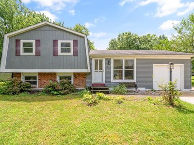 19 Lynette Dr