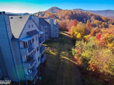 1260 Ski View Dr #2206