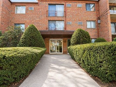 33 Paul St APT 24
