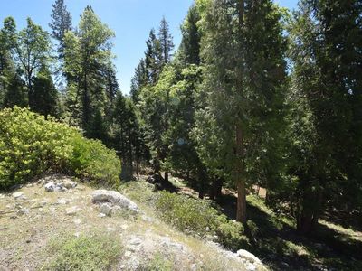 Property at 42506 Opal Ln LOT 68, Shaver Lake, CA