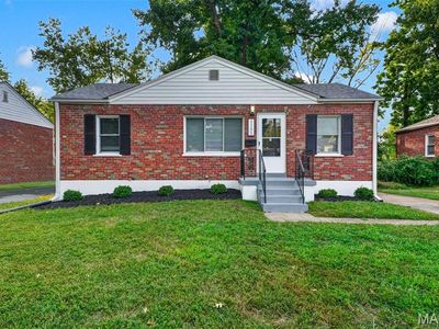 1131 Mount Olive Ave