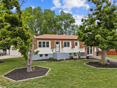 84 Maplewood Ct