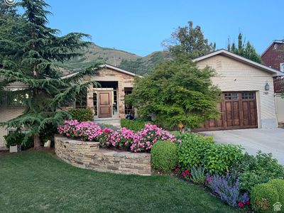 1423 S Ambassador Way