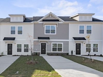 586 Slim Cypress Run #23