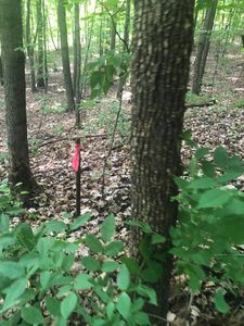 Property at Xx Kreigle Lake Rd, Avon, MN