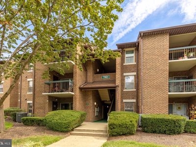 7903 Coriander Dr APT 202