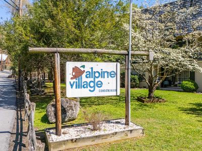 260 Roaring Fork Rd APT 220