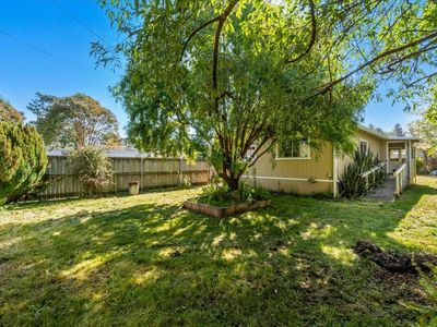 772 Eucalyptus Rd