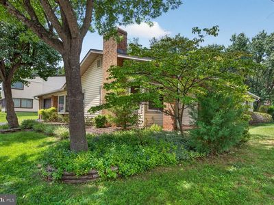 323 Avondale Dr