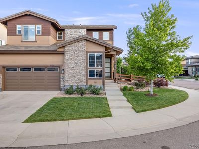 14384 Big Stone Drive