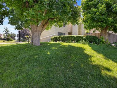 8704 Snapdragon Ln