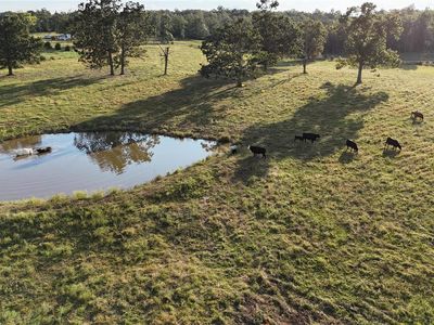 Property at 0 State Highway W, Summersville, MO