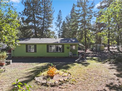 110 Goldenpine
