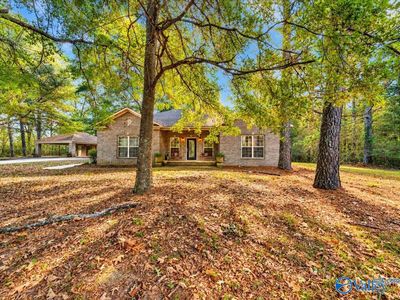 944 County Road 42