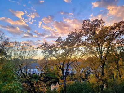 1454 Steeplechase Ln #18