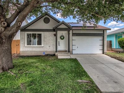 4611 Desert Poppy