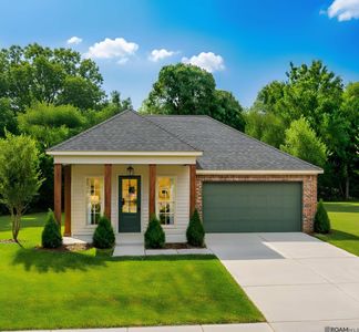 13037 Magnolia Square Dr