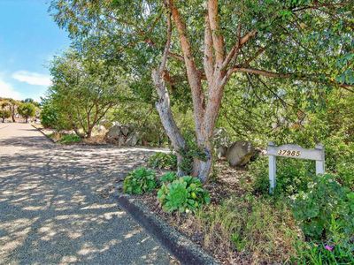 37985 Avenida Bravura