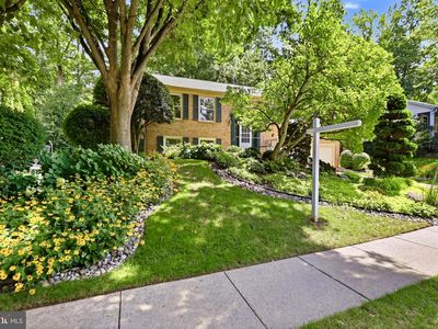 10147 Red Spruce Rd