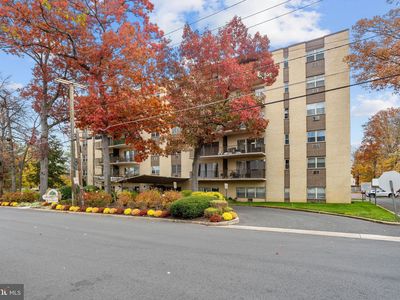 111 Chestnut St UNIT 208