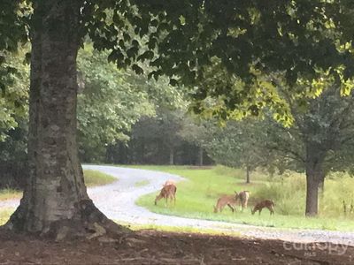 6610 Rolling Ridge Dr