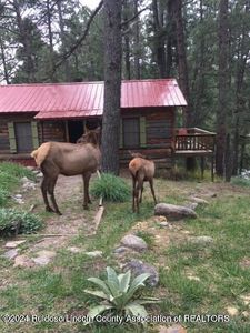 112 Lower Terrace Dr