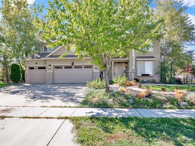 339 N Farm Meadow Rd