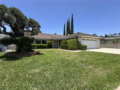 2127 Evergreen Springs Dr