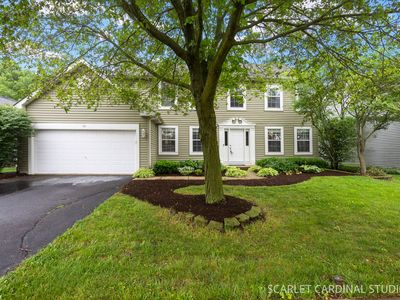 56 Forestview Ln