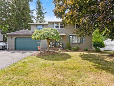 7361 Palomino Path