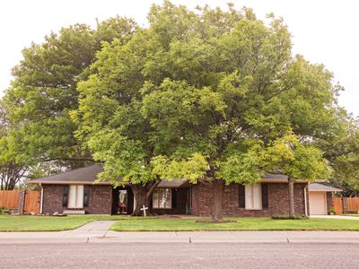 330 Elm St
