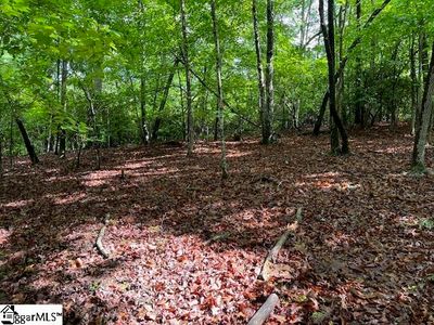 Property at 0 Hunting Country Rd, Tryon, NC