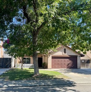 2521 Black Walnut Dr