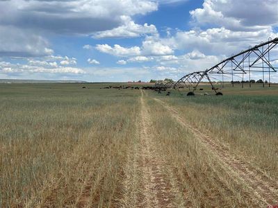 TBD Road 15