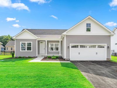 The Rose - TV Plan, The Vines of Sandhill