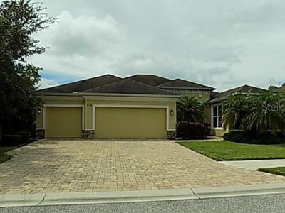 640 HONEYFLOWER LOOP