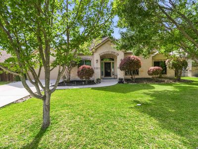 226 Lone Tree