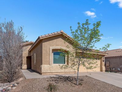 10589 E Feltleaf Willow Trl
