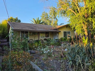 977 Alamos Ave