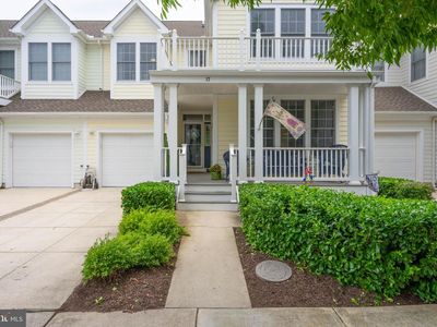 17 Tulip Poplar Turn