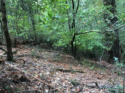 Property at 10608 Canyon Rd, Forestville, CA