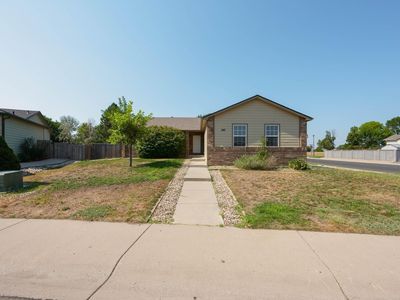 343 Scotch Pine Ct