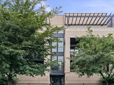 1346 W Walton St #3W
