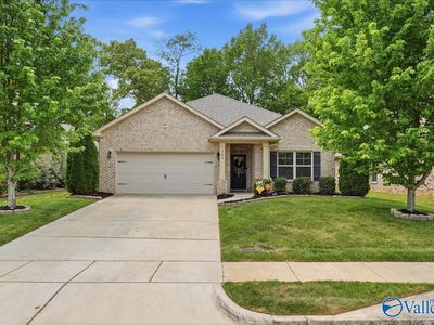 282 Falcon Ridge Dr