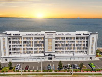1805 Riverside Dr APT 503