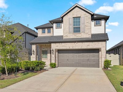 17786 Tree Of Heaven