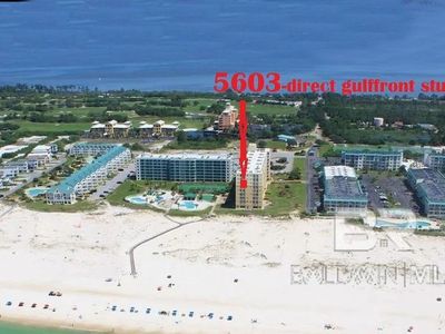 375 Plantation Rd #5603