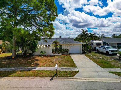 2529 Golden Poinciana Pl