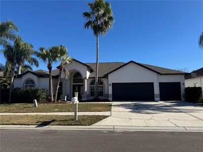 28724 Hanging Moss Loop